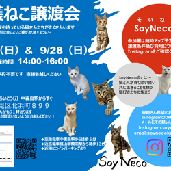 【SoyNeco会主催】保護ねこ譲渡会
