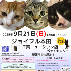 花ねこ譲渡会