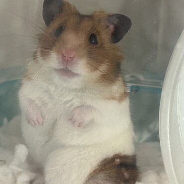 の写真