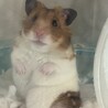 の写真