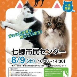 保護猫譲渡会