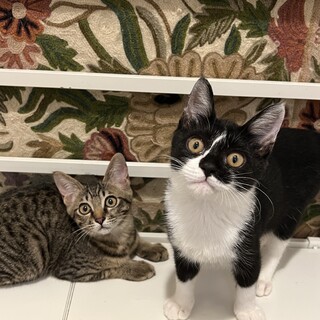 【10/5三田】老若男女に甘える可愛い子♡