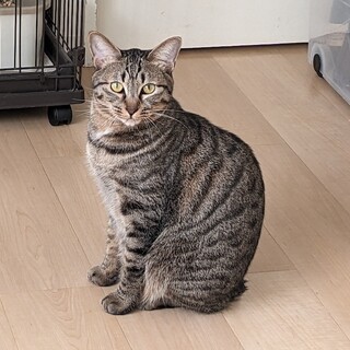 8/10尾久　癒し系の食いしん坊♡ロキくん