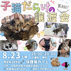 子猫だらけの譲渡会　