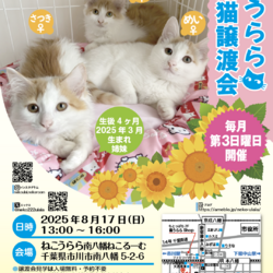 ねこうらら 保護猫譲渡会
