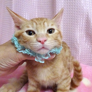 なれなれで少しビビリ★空(そら)くん ３ヵ月