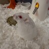 の写真