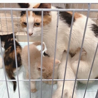 ありがとうございました！