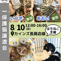 カインズ八王子長房店 譲渡会