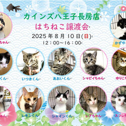 カインズ八王子長房店 譲渡会 サムネイル2