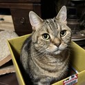 お利口さん　タオくん