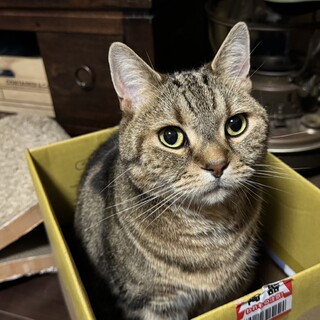 お利口さん　タオくん