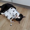 抱っこ大好き♡ サムネイル4