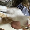 有り難うございました サムネイル3