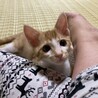 有り難うございました サムネイル4