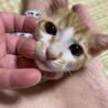 有り難うございました サムネイル5
