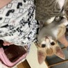 有り難うございました サムネイル7