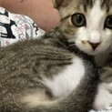 有難う御座いました