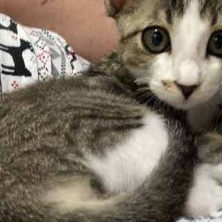 有難う御座いました