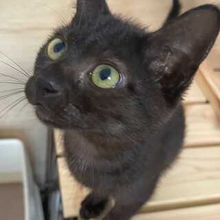 仮名:みそらさん