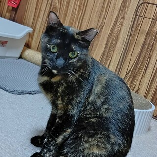 〝カヌレちゃん〟です♪