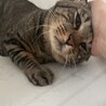 〝きみお君〟です♪ サムネイル2