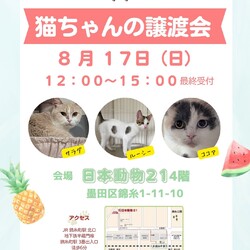 ひらこましっぽの譲渡会（錦糸町 日本動物21）