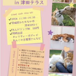 犬Fés 保護犬猫の譲渡会