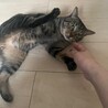 〝きみお君〟です♪ サムネイル3
