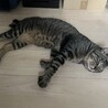 〝きみお君〟です♪ サムネイル4
