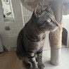 〝きみお君〟です♪ サムネイル5