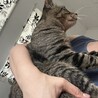 〝きみお君〟です♪ サムネイル6