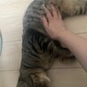 〝きみお君〟です♪ サムネイル7