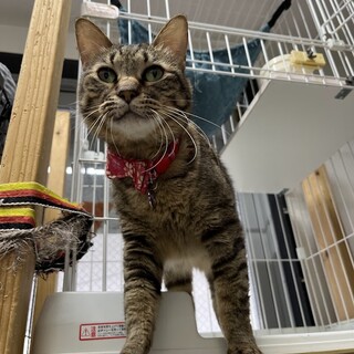 抱っこが大好き☆甘えん坊ガール