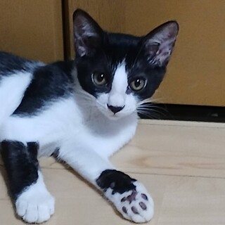 〝リンちゃん〟です♪