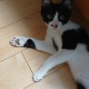 〝グレ君〟です♪
