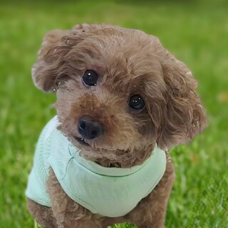 人懐っこい食いしん坊ちゃん♡