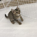 お見合いすることになりました⭐︎冬くん⭐︎