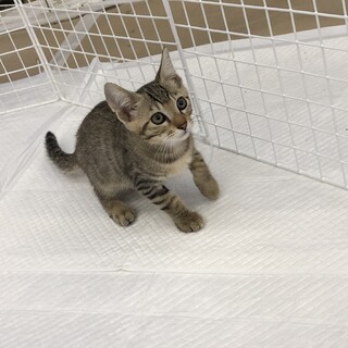 お見合いすることになりました⭐︎冬くん⭐︎