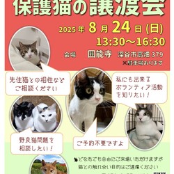 ～保護猫譲渡会～byもひかん王国