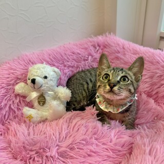 とっても元気な男の子