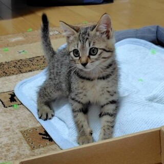 〝ぽんちゃん〟です♪