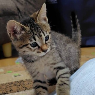 〝ゆず君〟です♪