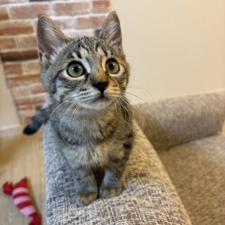 〝ひまわりちゃん〟です♪