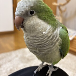 沢山のご応募ありがとうございました。