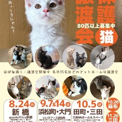 みなとねこ保護猫譲渡会＠ goodoffice新橋