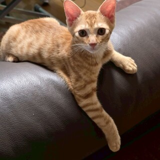 元気いっぱいの はじくん♪