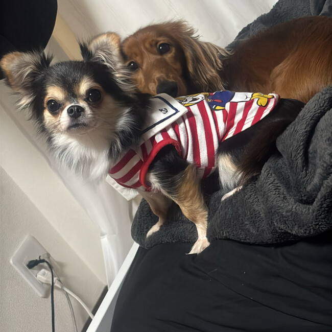 うかなのカバー写真