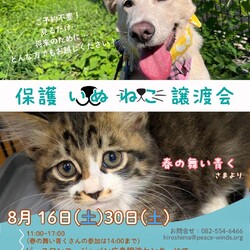 いぬねこ譲渡会
