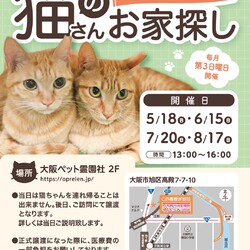 第84回 ViVAキャッツ譲渡会